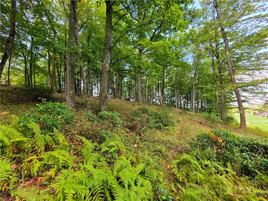 286 Roe Hunt Road Laurel Springs, NC 28644 - Photo 33 of 49 Gallery Image 33