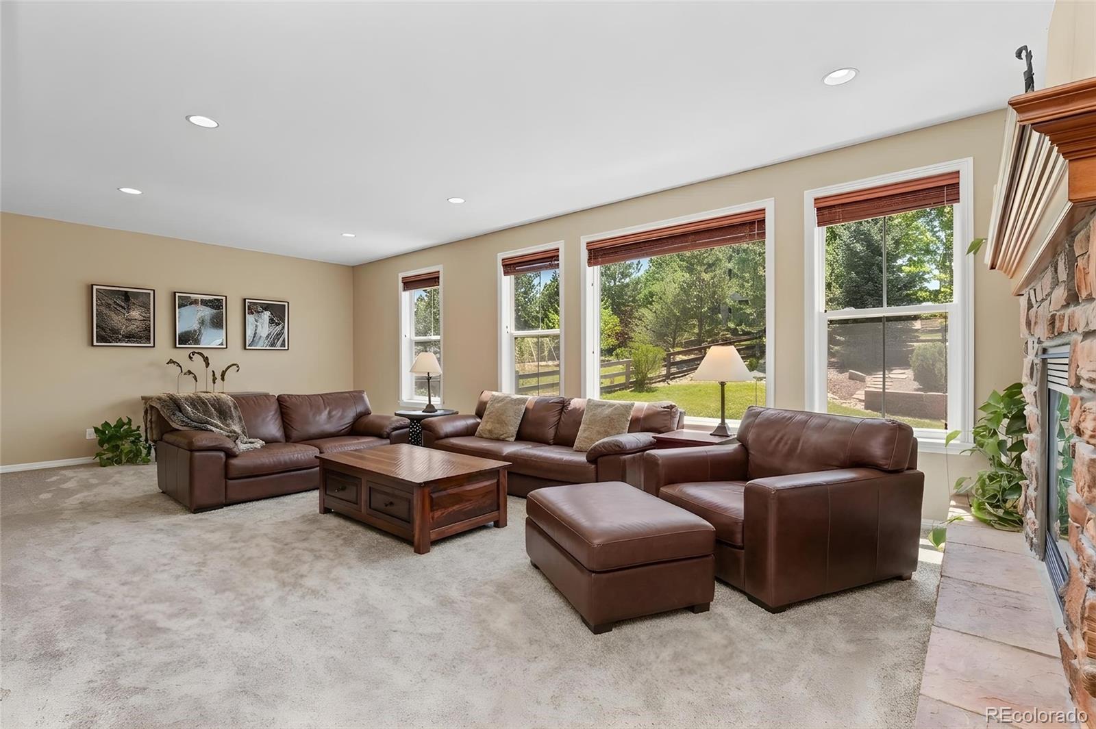 3860 Fairbrook Point Highlands Ranch, CO 80130 - Photo 9 of 42