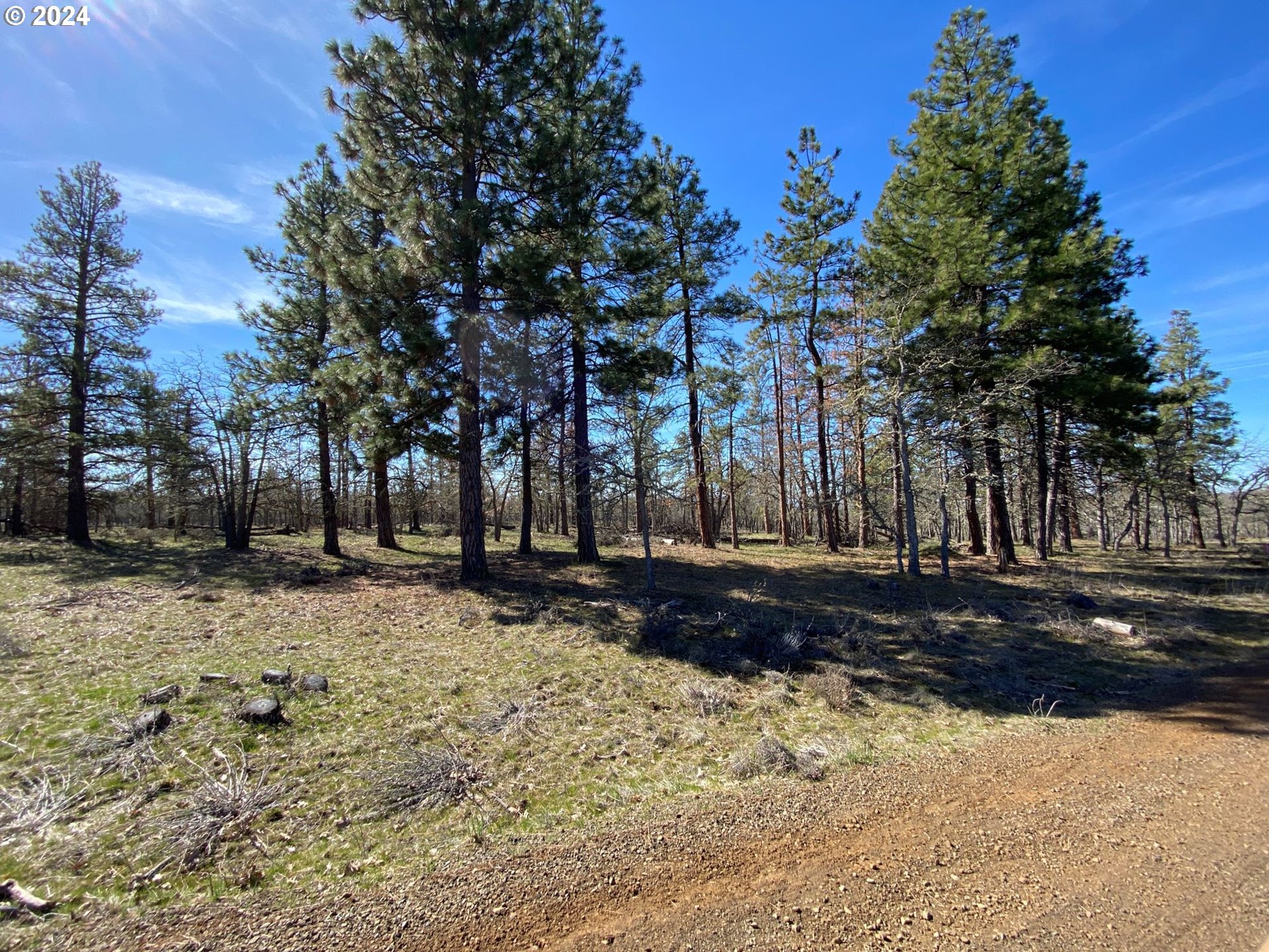 D Pine Road Goldendale, WA 98620 - Photo 1 of 18 Gallery Image 1