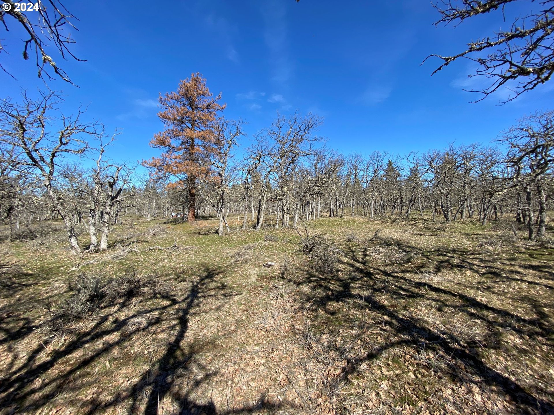 D Pine Road Goldendale, WA 98620 - Photo 17 of 18 Gallery Image 17