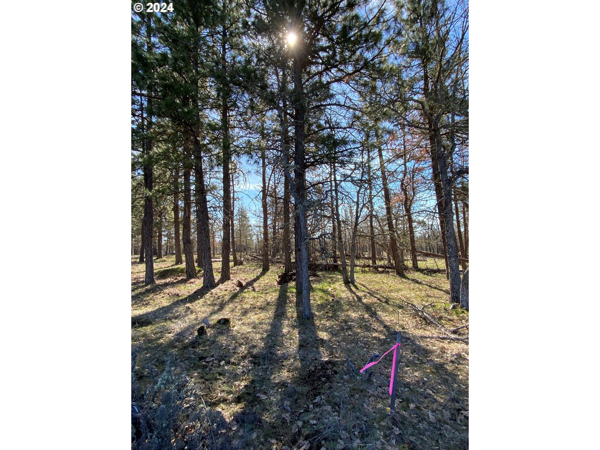 D Pine Road Goldendale, WA 98620 - Photo 2 of 18 Gallery Image 2