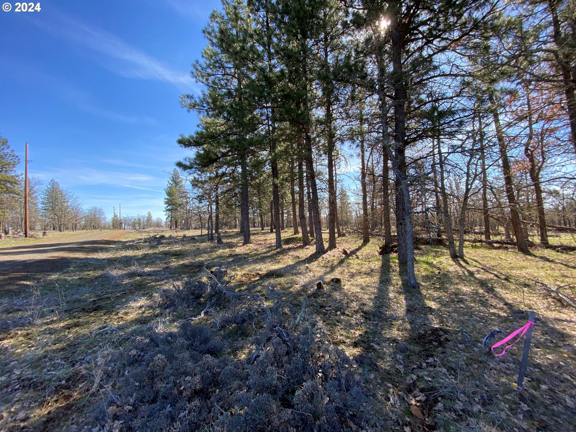 D Pine Road Goldendale, WA 98620 - Photo 3 of 18 Gallery Image 3