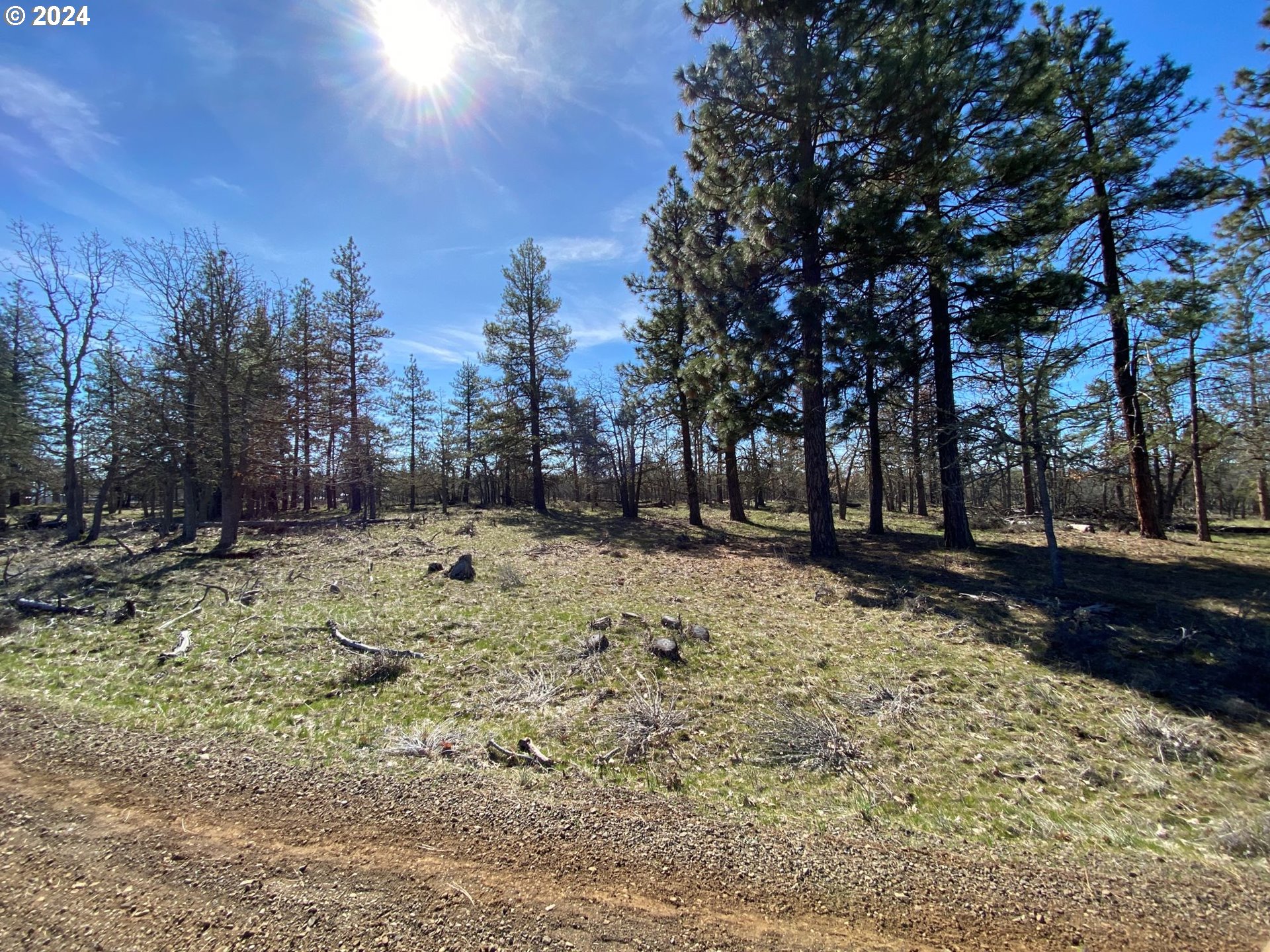 D Pine Road Goldendale, WA 98620 - Photo 4 of 18 Gallery Image 4