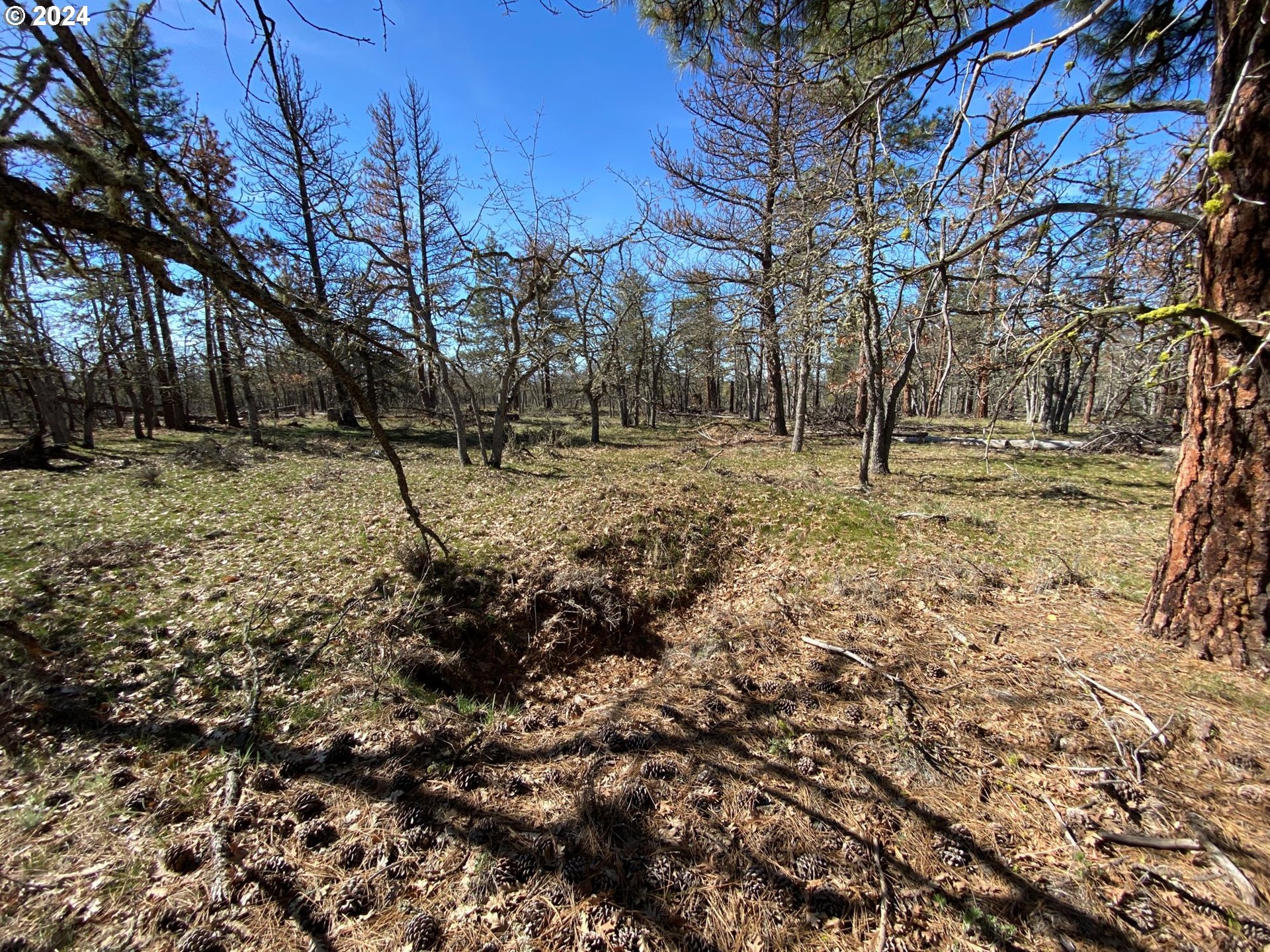 D Pine Road Goldendale, WA 98620 - Photo 6 of 18 Gallery Image 6