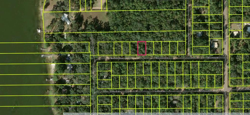 7 Buckles Avenue Interlachen, FL 32148 - Photo 2 of 4