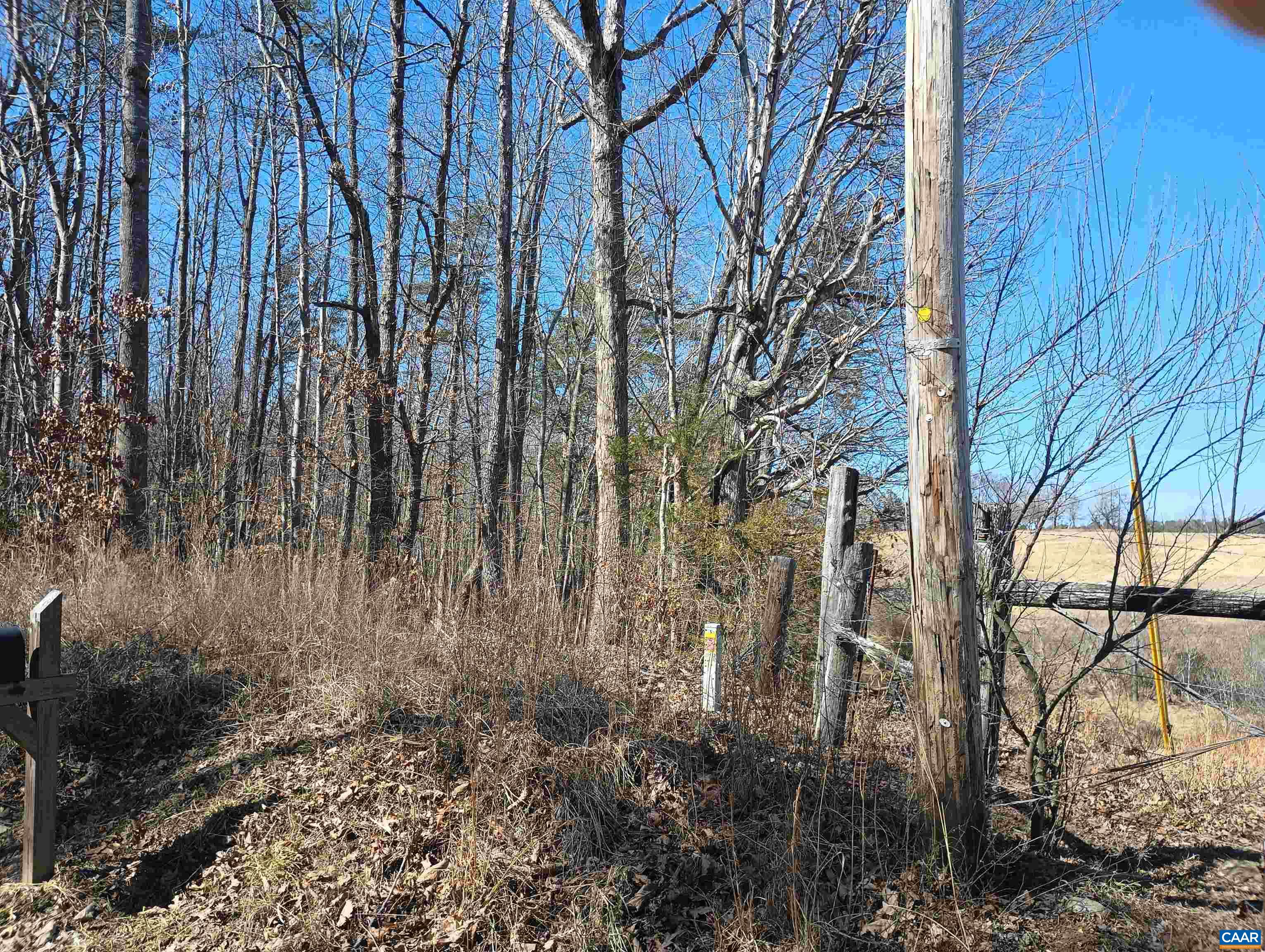 3901 Midland Road Wingina, VA 24599 - Photo 7 of 75