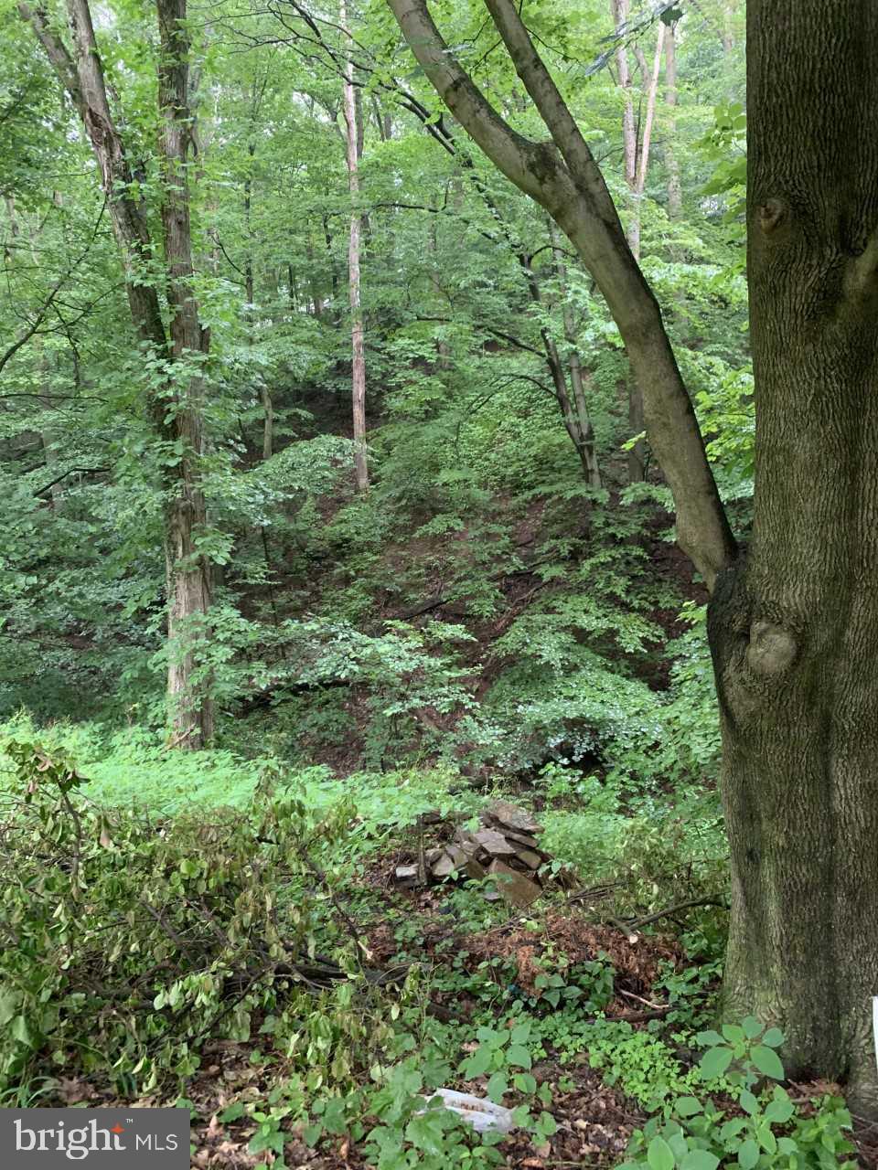 1001 Roberts Valley Road Harrisburg, PA 17110 - Photo 2 of 10 Gallery Image 2