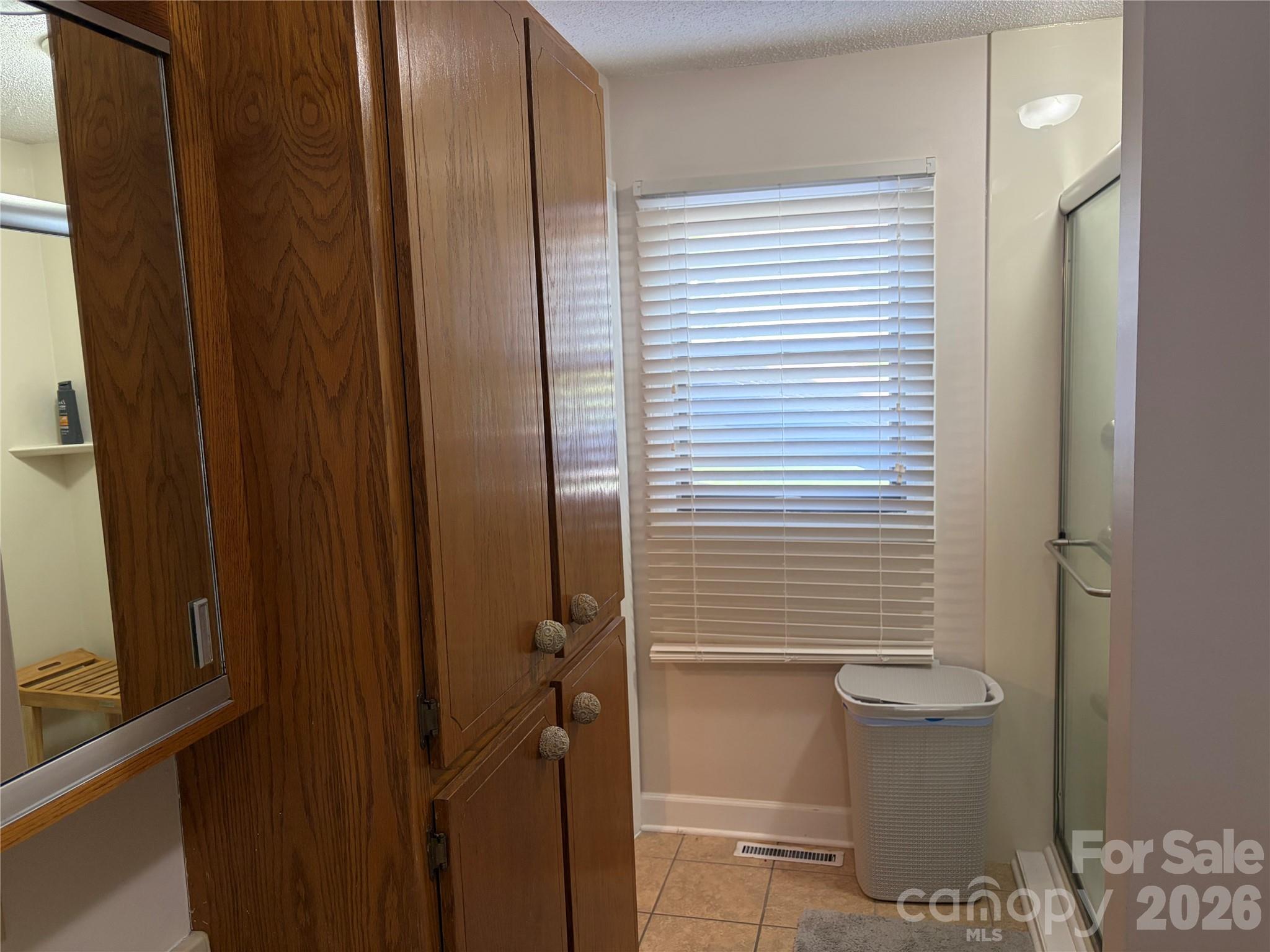 256 A Bruce Road Mars Hill, NC 28754 - Photo 23 of 39 a bathroom with a glass door shower