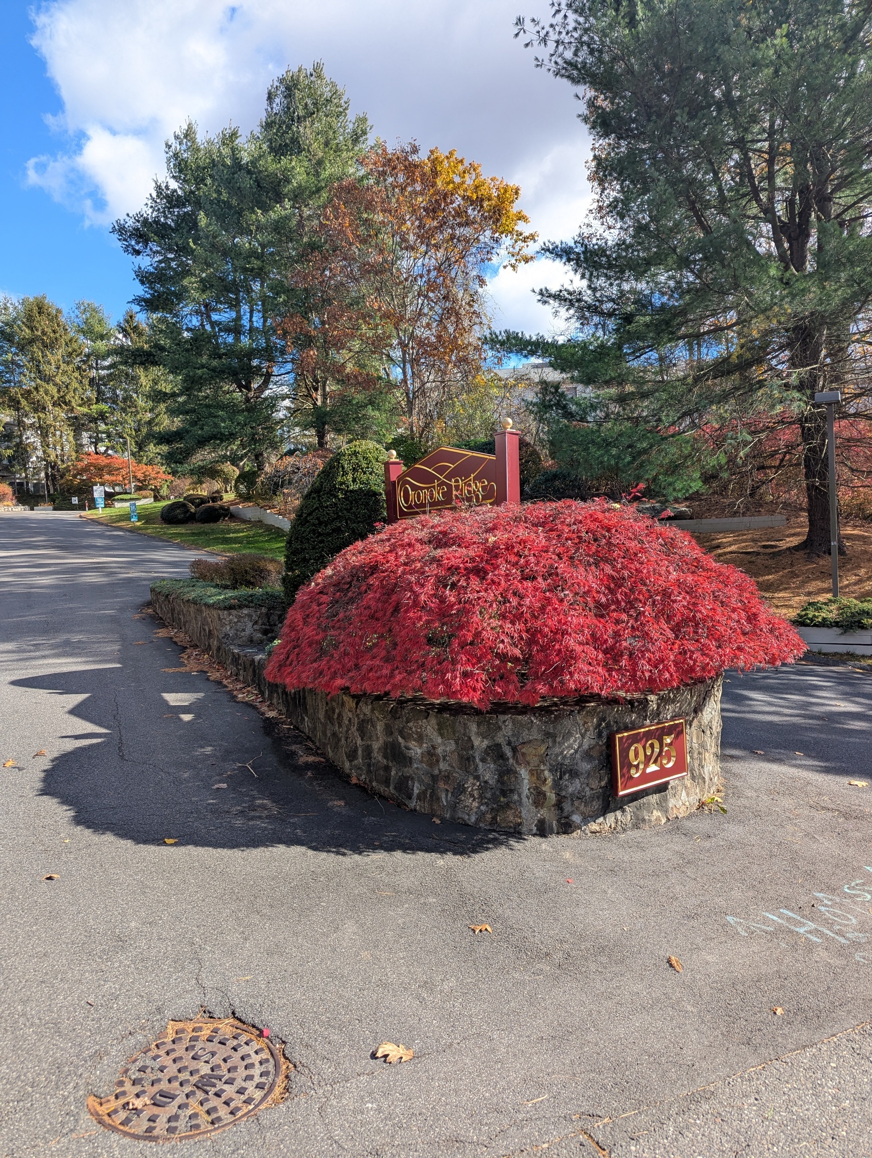 925 Oronoke Road, Unit 38F Waterbury, CT 06708 - Photo 15 of 15 a view of a backyard with large trees