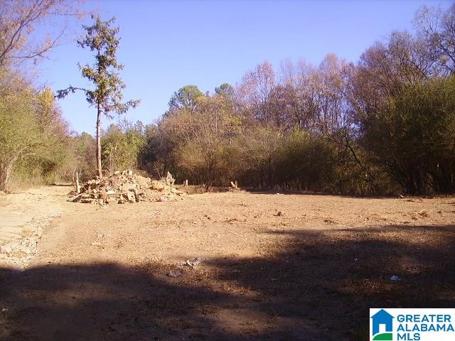 3338 Warrior River Road, Unit RESIDENTIAL OR COMMERCIAL Bessemer, AL 35023 - Photo 1 of 3 Gallery Image 1