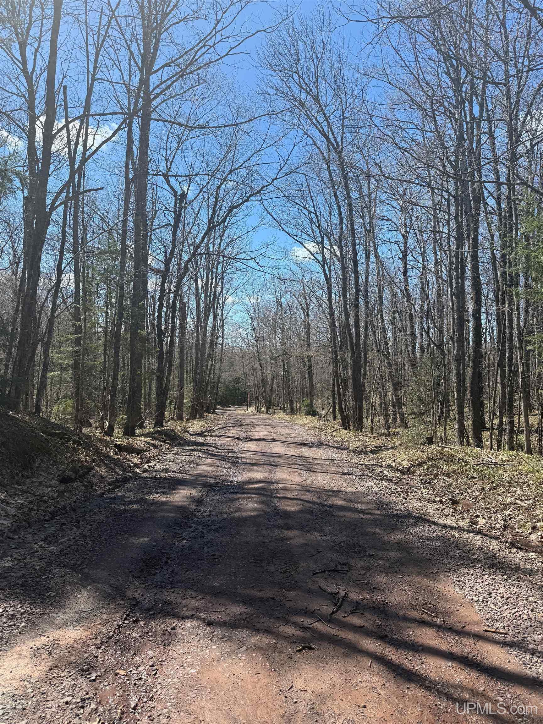 Tbd Victoria Dam Road Rockland, MI 49960 - Photo 22 of 22
