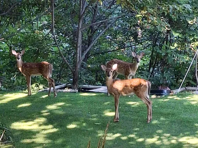 $459,000 | 33671 Woodmont Ridge Drive, New Carlisle, IN 46552