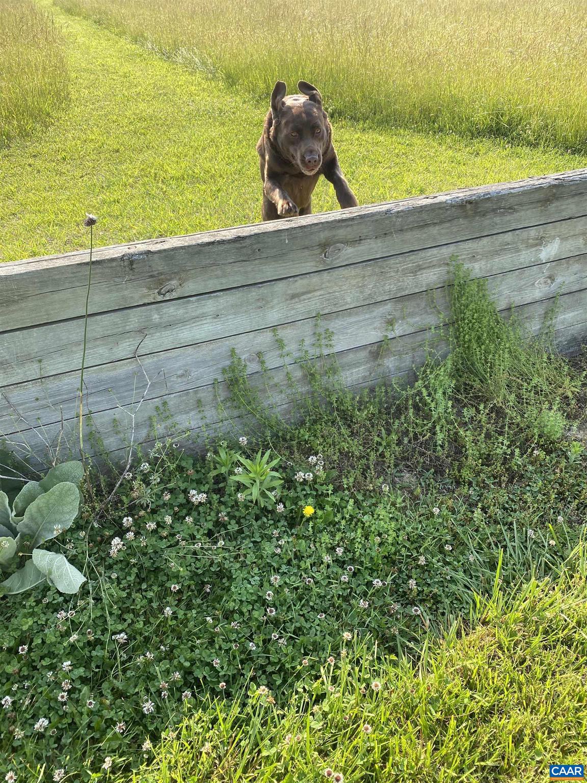 100 Equus Loop Natural Bridge, VA 24578 - Photo 5 of 75