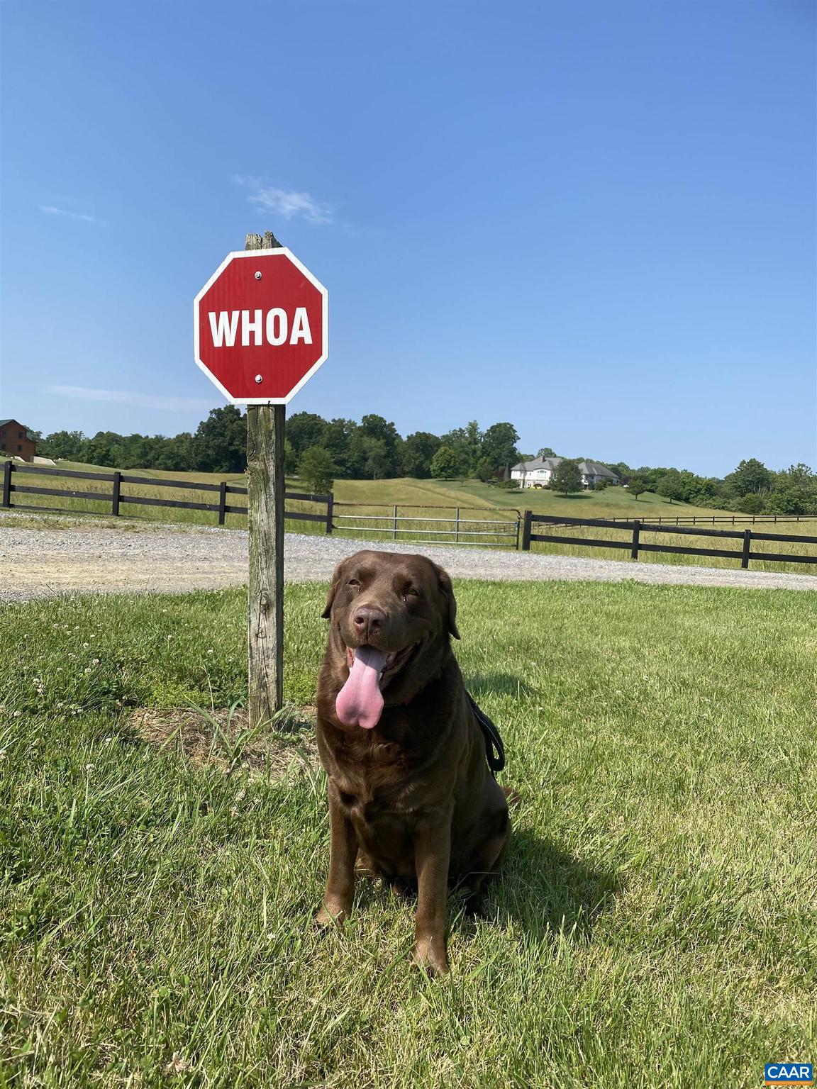 100 Equus Loop Natural Bridge, VA 24578 - Photo 7 of 75