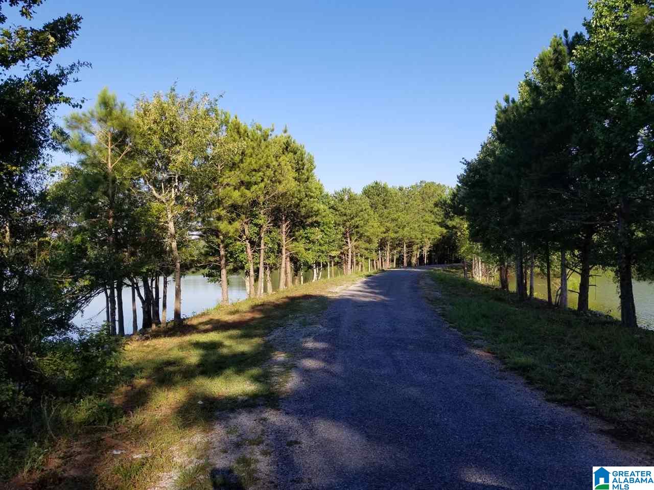 Lot # Jackson Trail, Unit 15 Lineville, AL 36266 - Photo 16 of 17