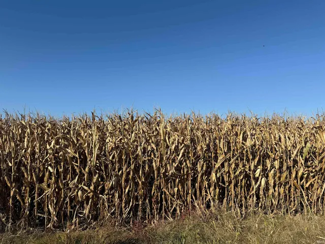 0 Mann, Haubstadt, IN 47639