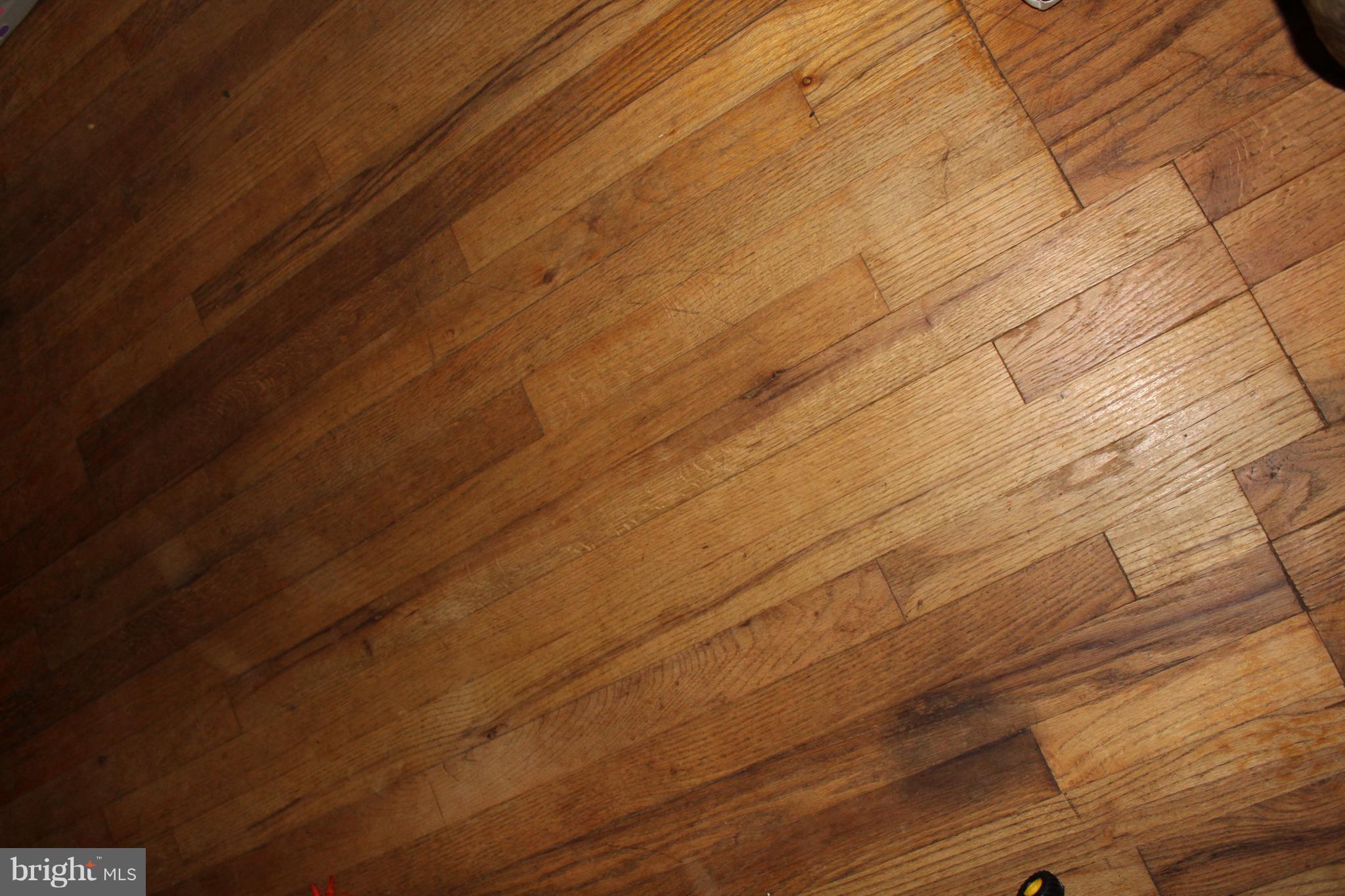 27 Marsh Road Fredericksburg, VA 22406 - Photo 24 of 24 Hardwood Floors throughout most of main floor
