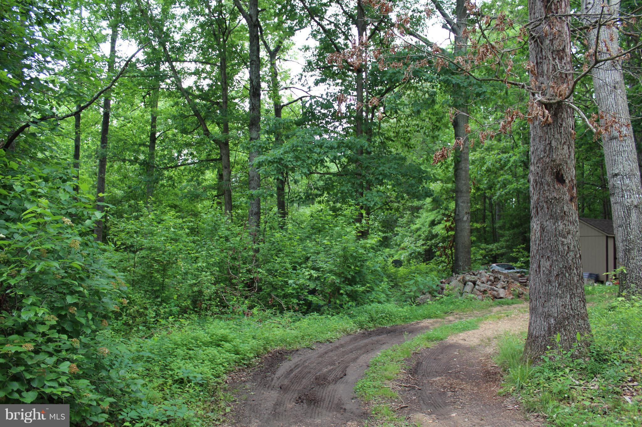 27 Marsh Road Fredericksburg, VA 22406 - Photo 7 of 24 Drive around driveway