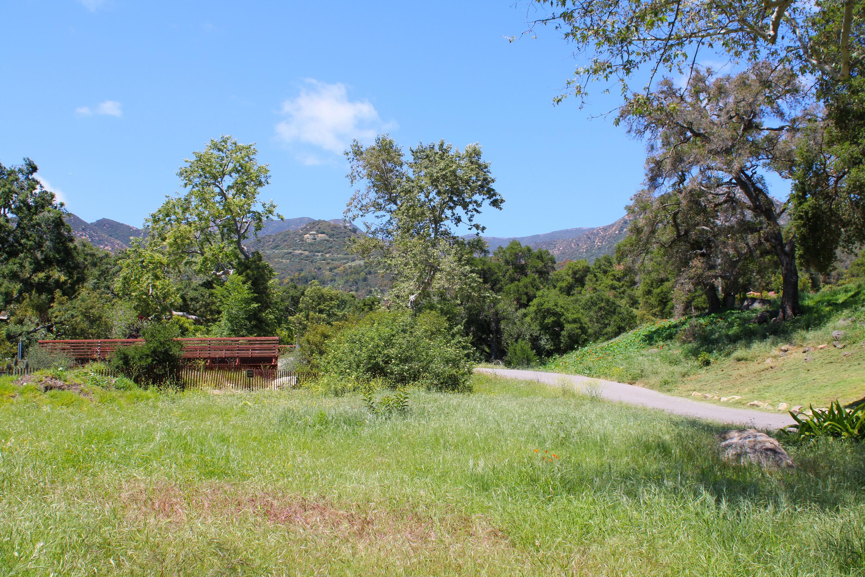 809 Ashley Road Montecito, CA 93108 - Photo 2 of 14 IMG_2354