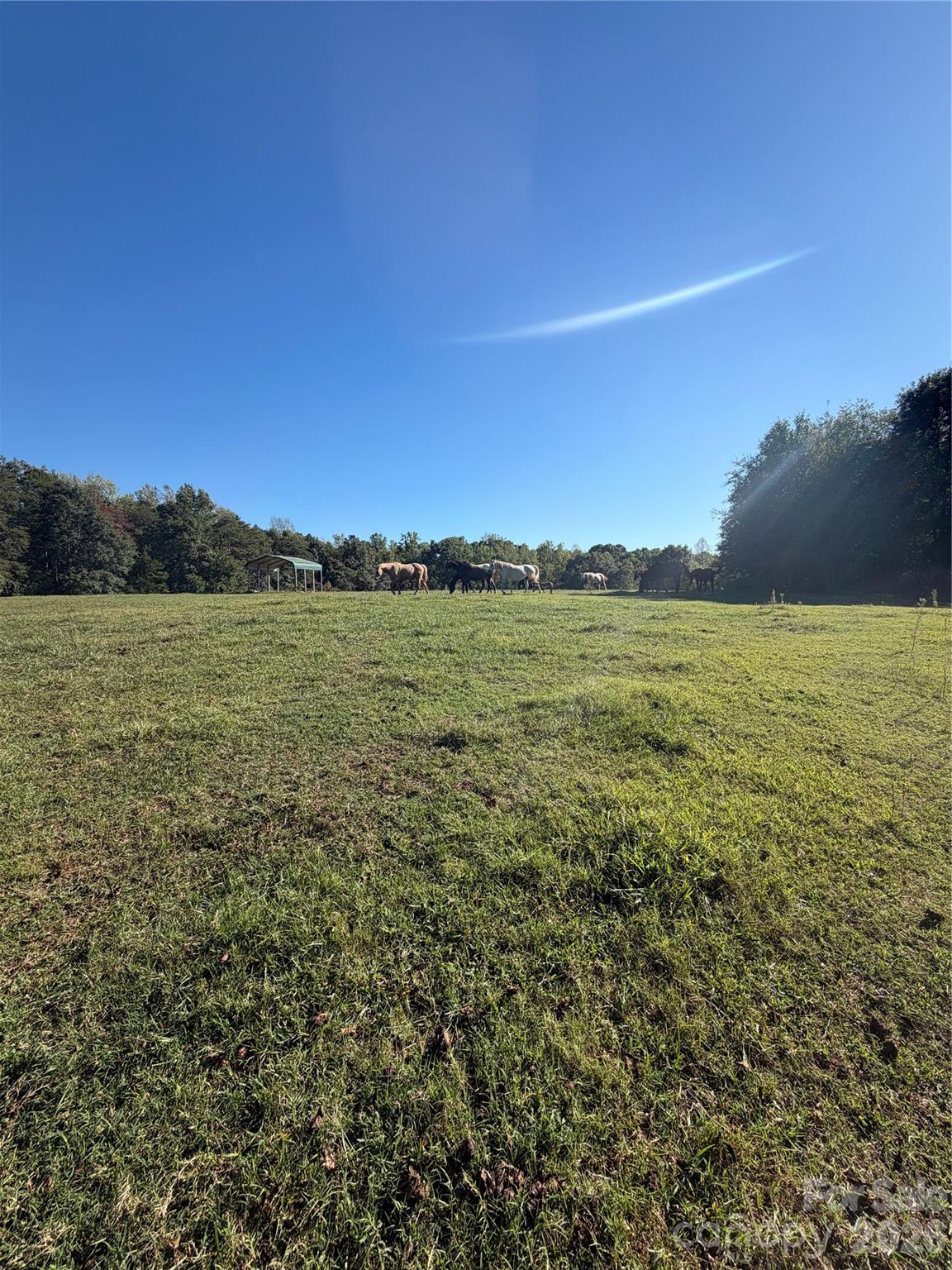 1352 Williamson Road Shelby, NC 28150 - Photo 19 of 28 Gallery Image 19