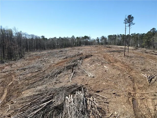 a view of a dry yard with wooden fence