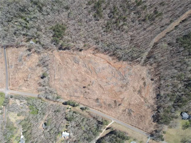 a view of a dry yard with trees