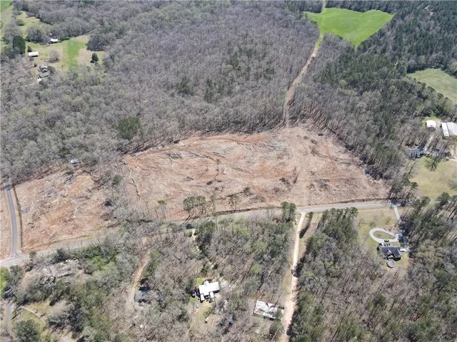a view of a dry yard with plants and a tree
