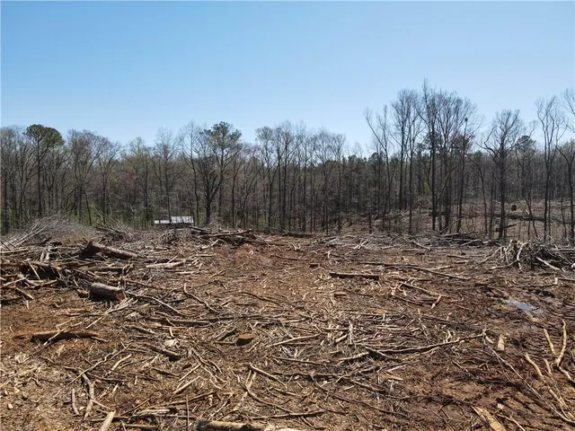 a view of outdoor space with lots of trees
