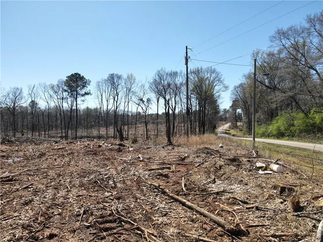 a view of a yard with a tree