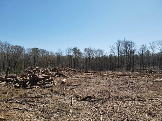 a view of a park with large trees