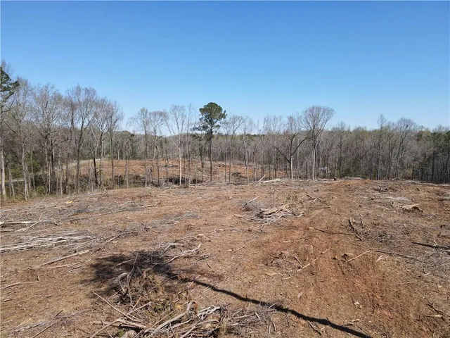 a view of a backyard with trees