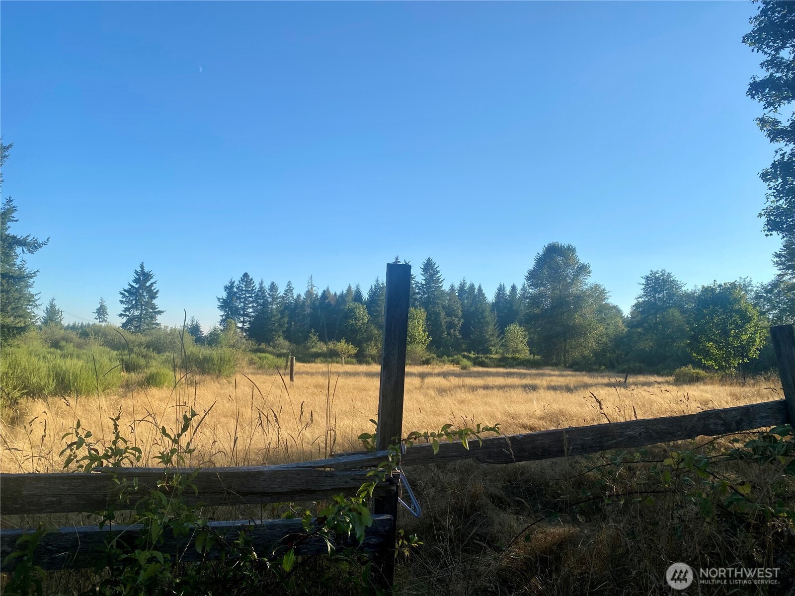 3444 Matlock-Brady Road Elma, WA 98541 - Photo 5 of 16