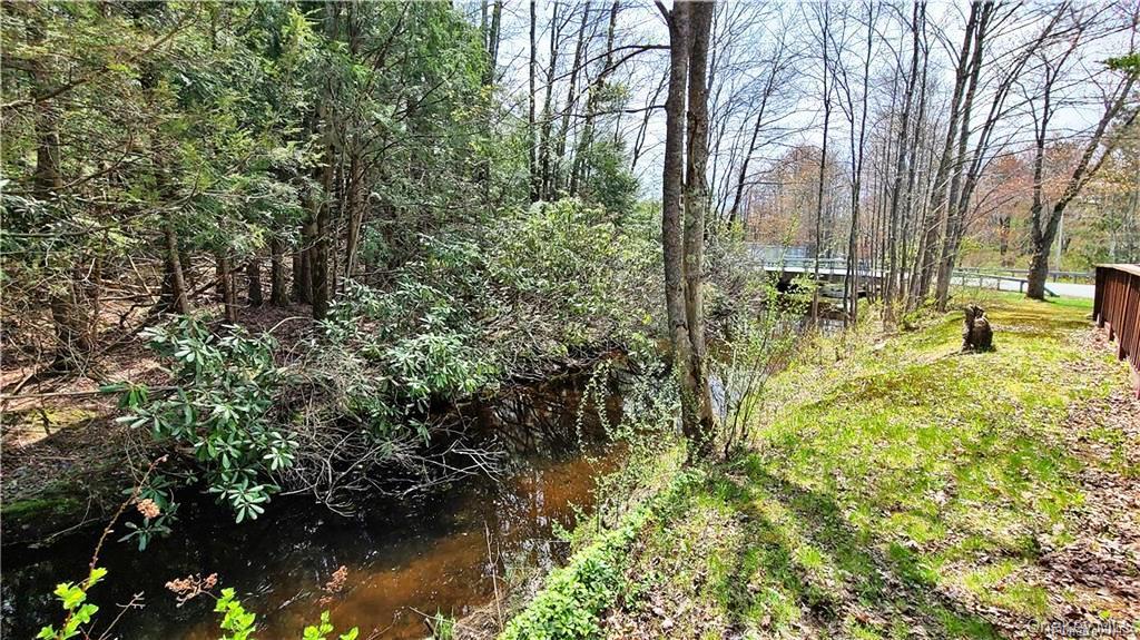 52 Medallion Road Kiamesha Lake, NY 12751 - Photo 27 of 32