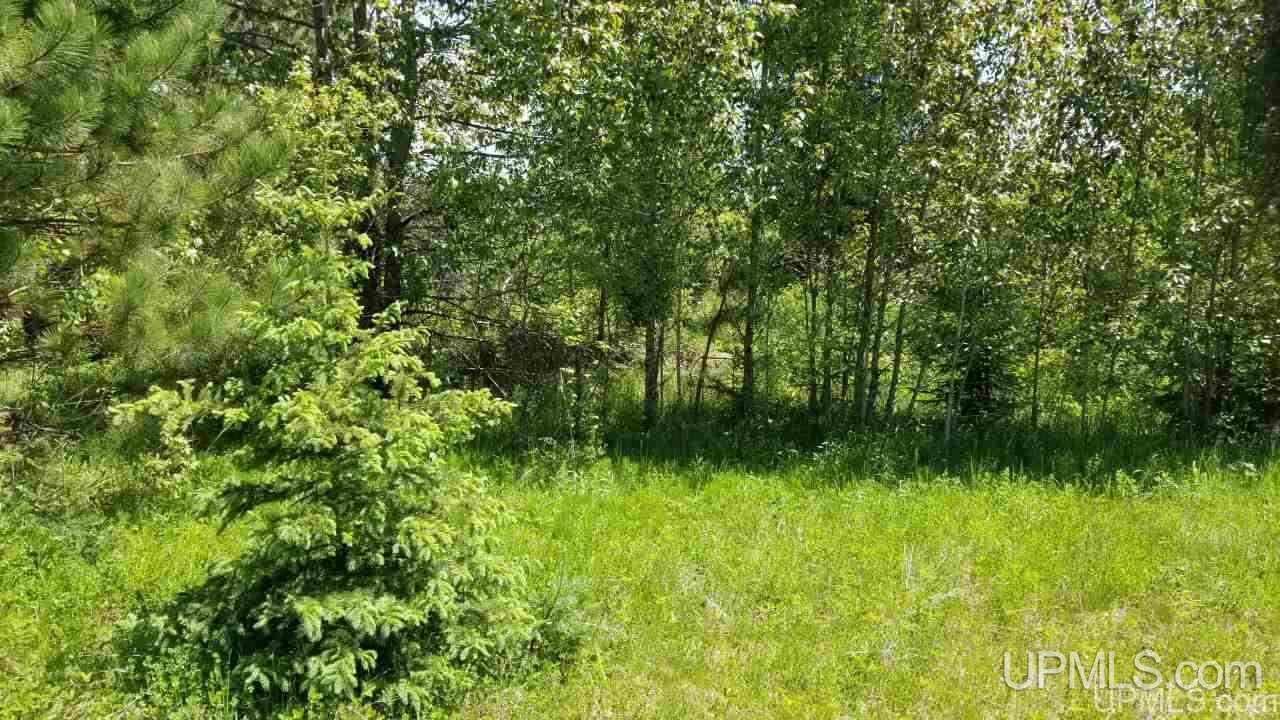 Tbd North Angeli Road, Unit 15 Iron River, MI 49935 - Photo 6 of 15