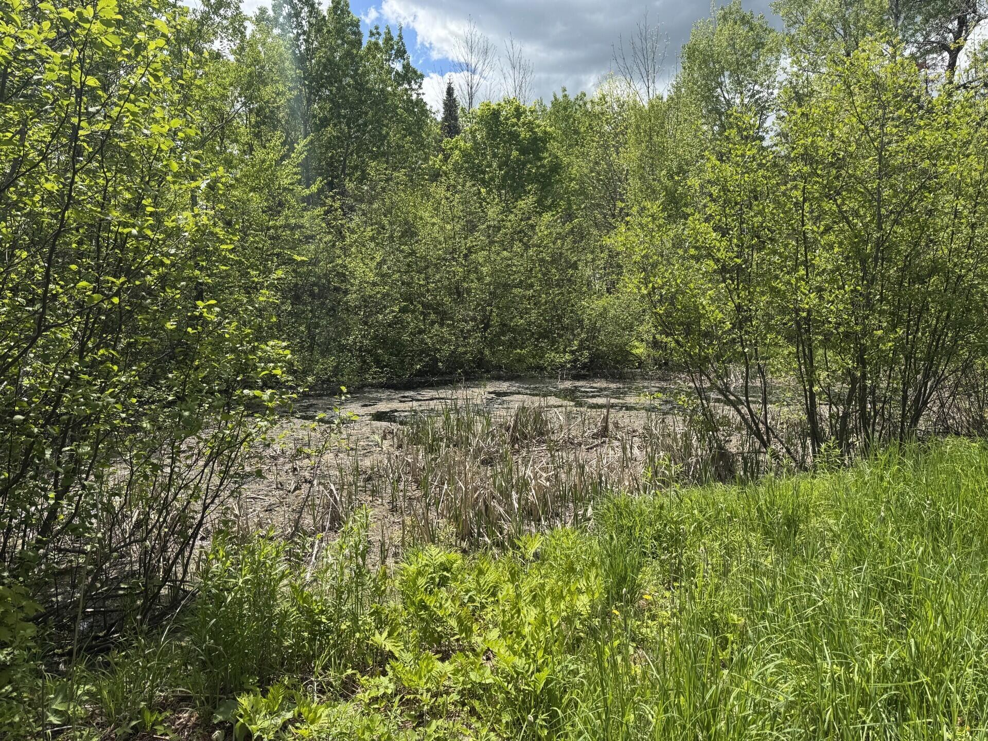 328 Clark Road Merrill, ME 04780 - Photo 50 of 55 West Pond (328 Clark Road) I