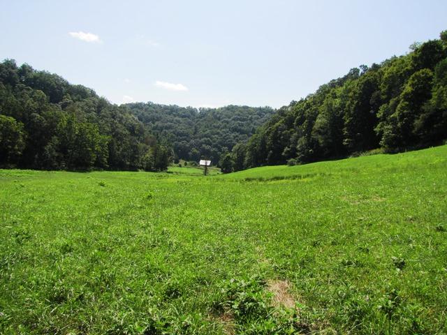 2402 Lillydale-Back Creek Road Union, WV 24983 - Photo 3 of 49 Gallery Image 3
