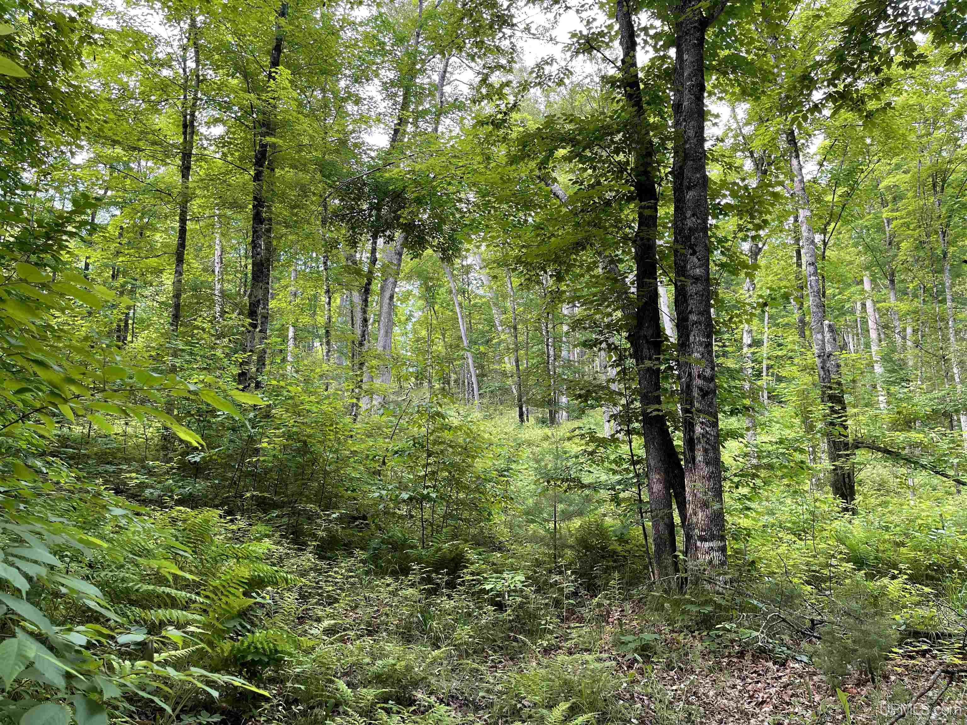 17-ac Cooper Lake Road Ishpeming, MI 49849 - Photo 2 of 10