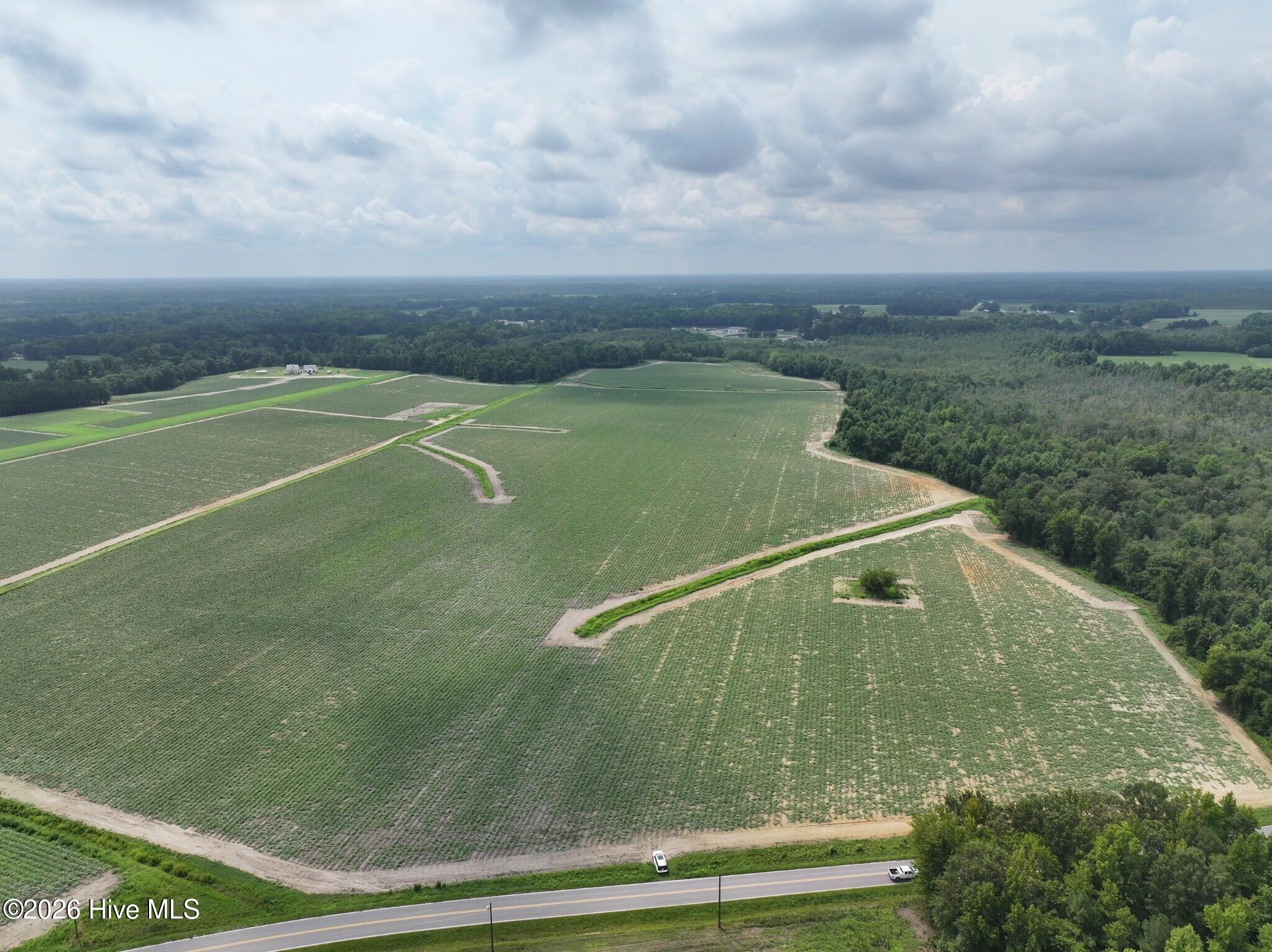 0 Huckleberry Road Lucama, NC 27851 - Photo 2 of 18 Gallery Image 2