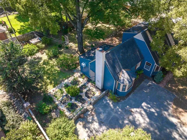 a view of a yard with plants and a trees