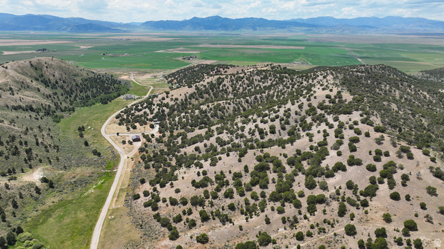 2006 Swenson Valley Road Bancroft, ID 83217 - Photo 21 of 51 Expansive rural landscape featuring a winding road, scattered evergreen trees, and distant mountain ranges