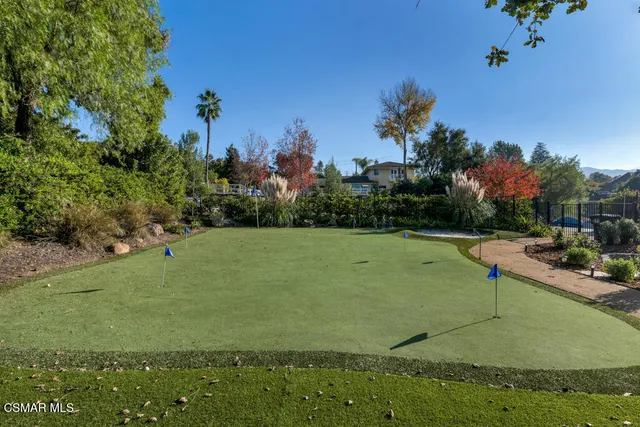 a view of a forest with a lush green forest