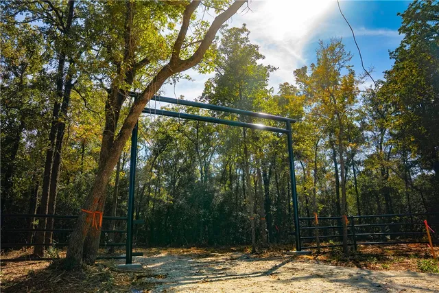 a view of a yard with trees