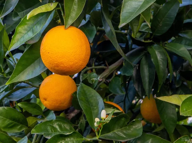 $729,000 | 1763 E Street, Napa, CA 94559