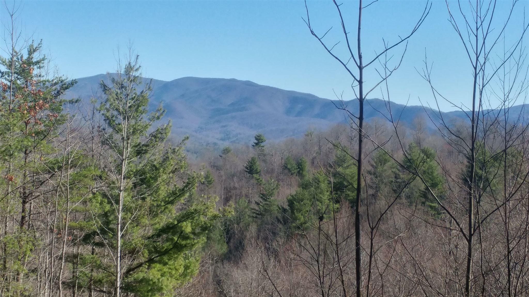Lot 4-5 Fishers View Road Shawsville, VA 24162 - Photo 22 of 26 Gallery Image 22