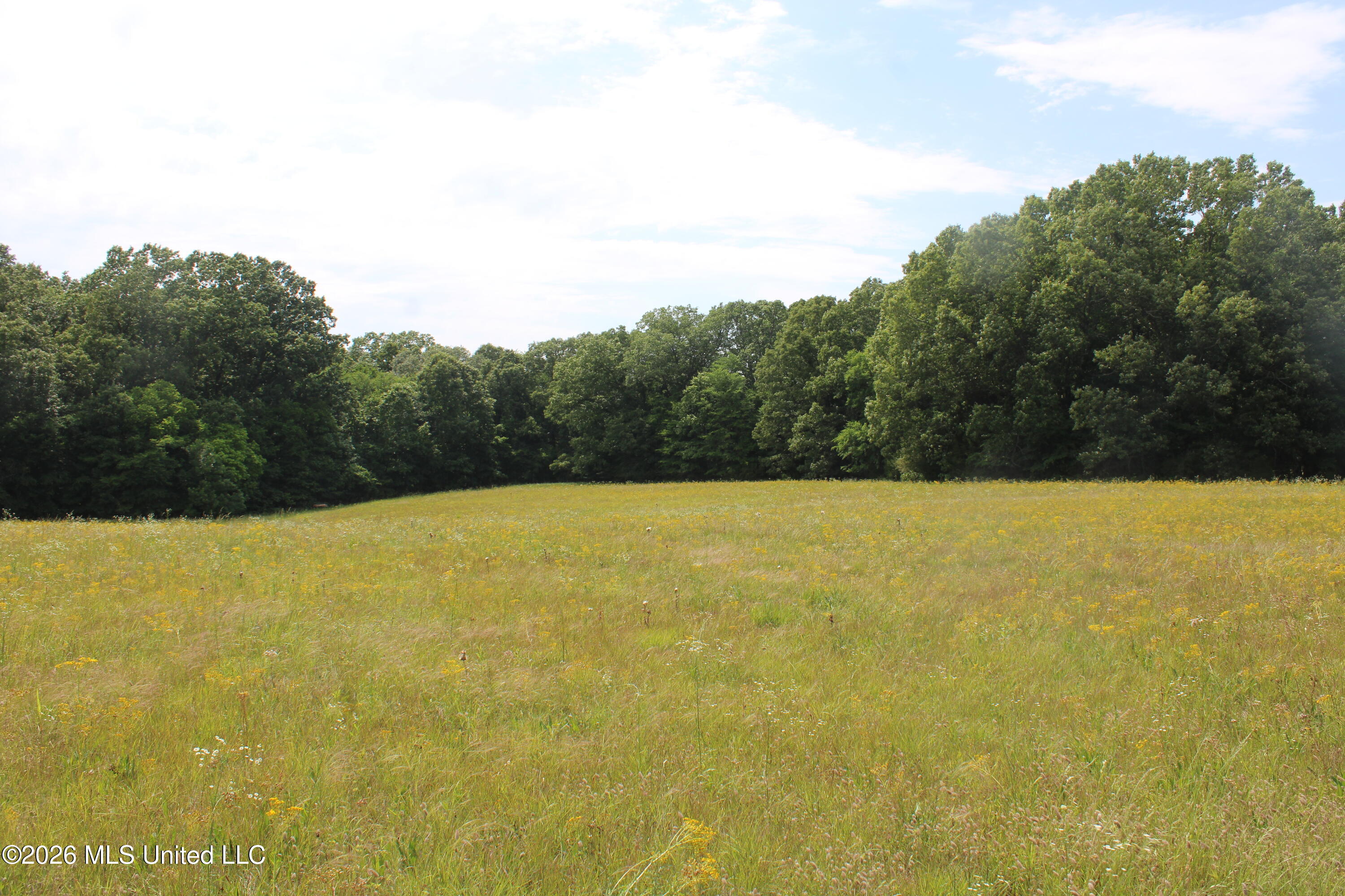100 Boswell Road Holly Springs, MS 38635 - Photo 14 of 17 IMG_7818