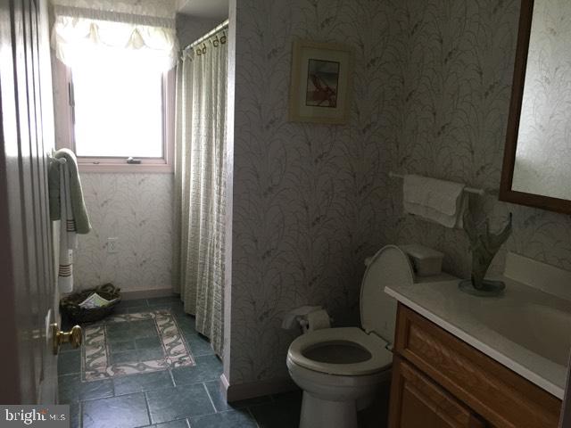 20256 Nanticoke Road Nanticoke, MD 21840 - Photo 17 of 26 a bathroom with a sink toilet and shower