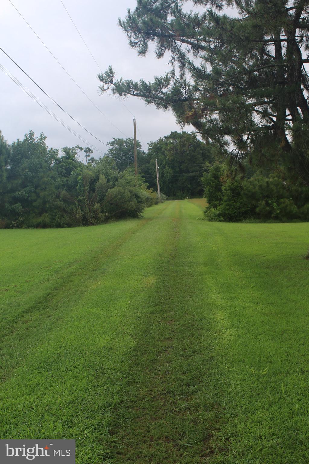 20256 Nanticoke Road Nanticoke, MD 21840 - Photo 21 of 26 a view of field with tall trees