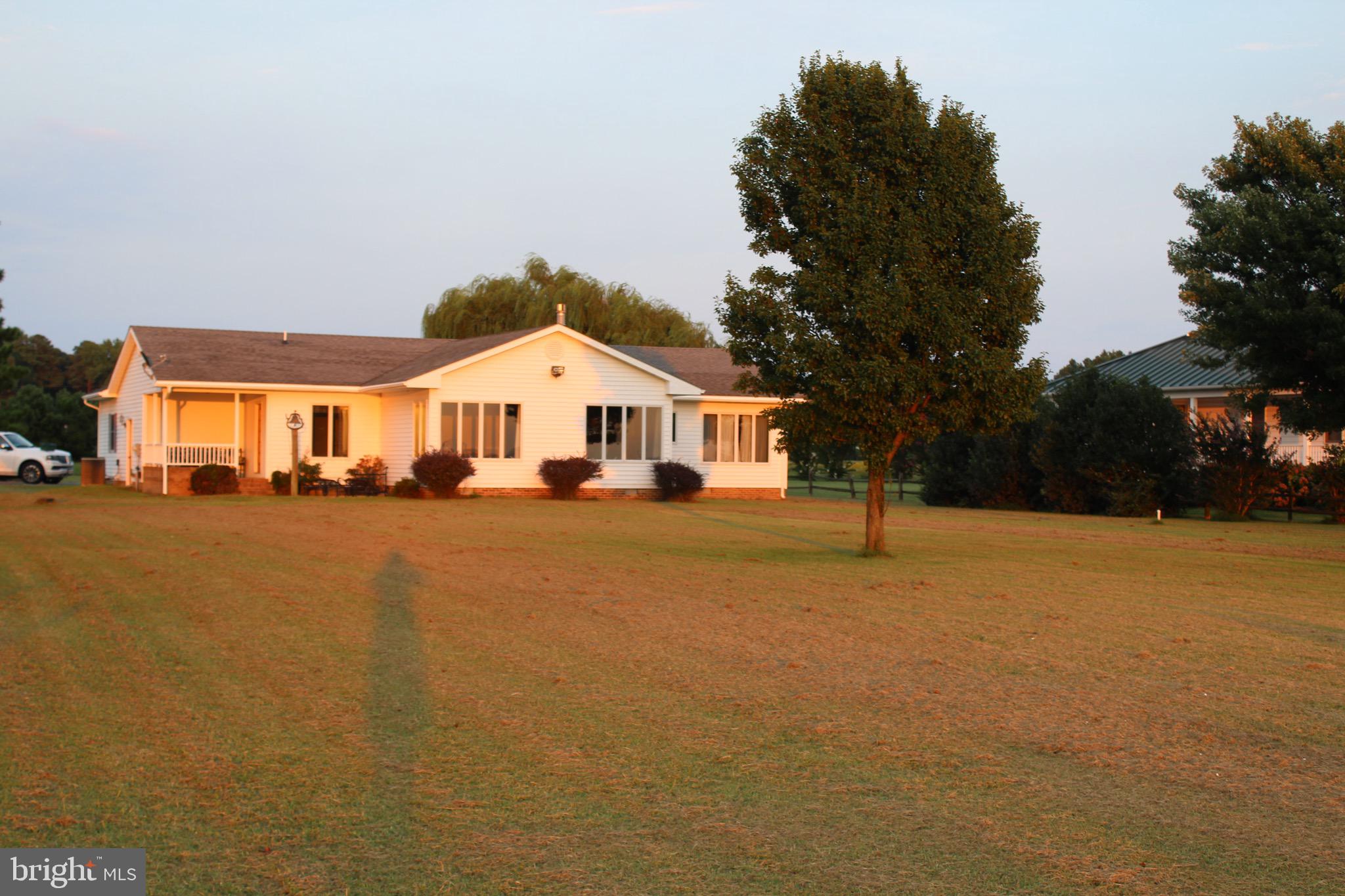 20256 Nanticoke Road Nanticoke, MD 21840 - Photo 6 of 26 a house with palm tree in front of it