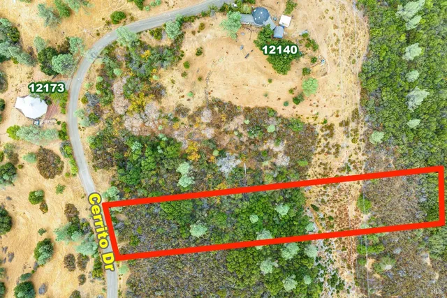 a view of a flower in a garden