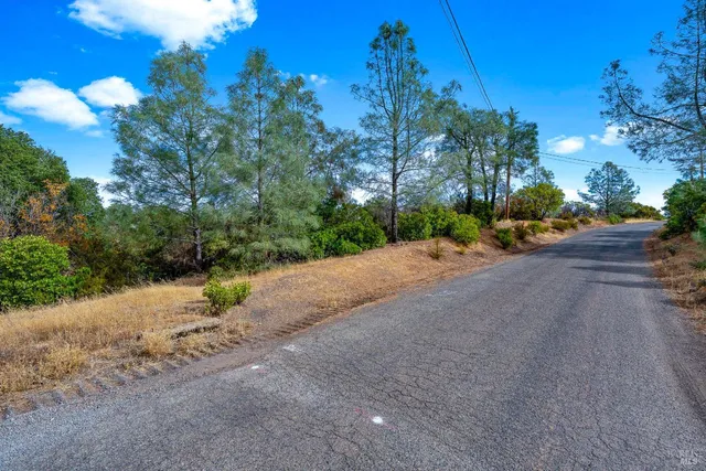 a view of a road with a trees